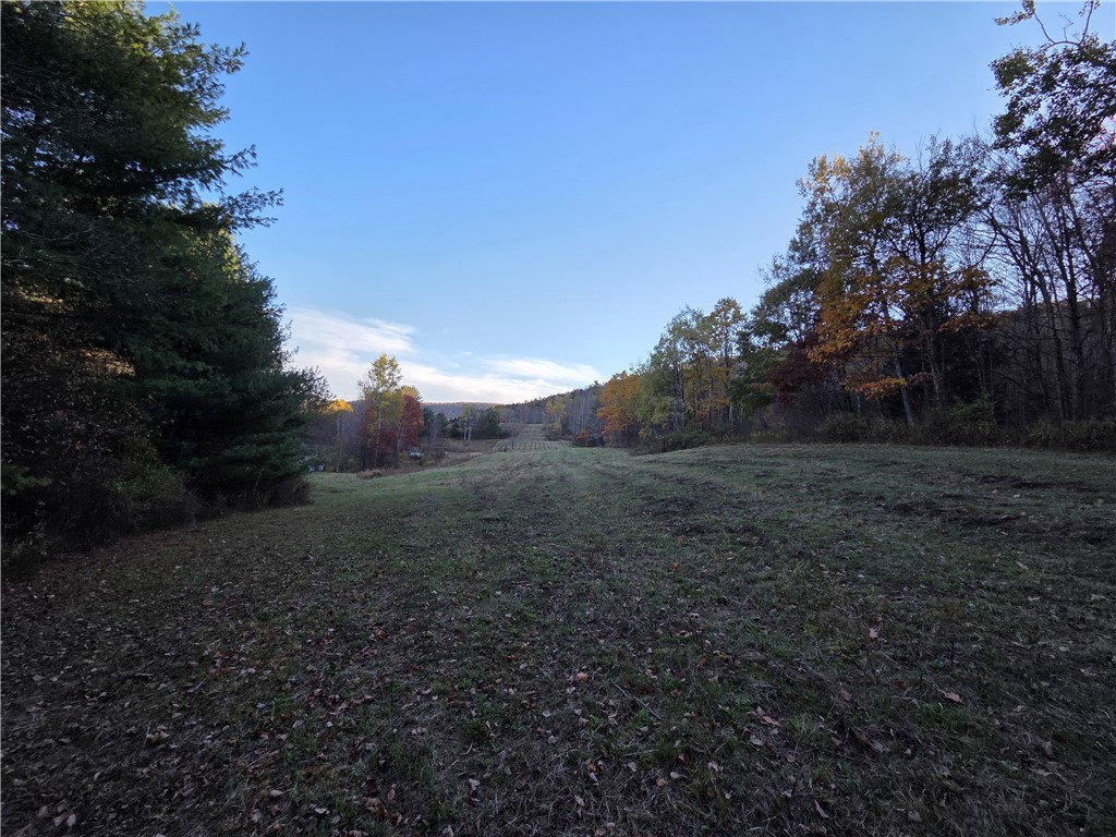 147 Clark Hollow Road Southport, NY 14871 - Photo 41 of 50