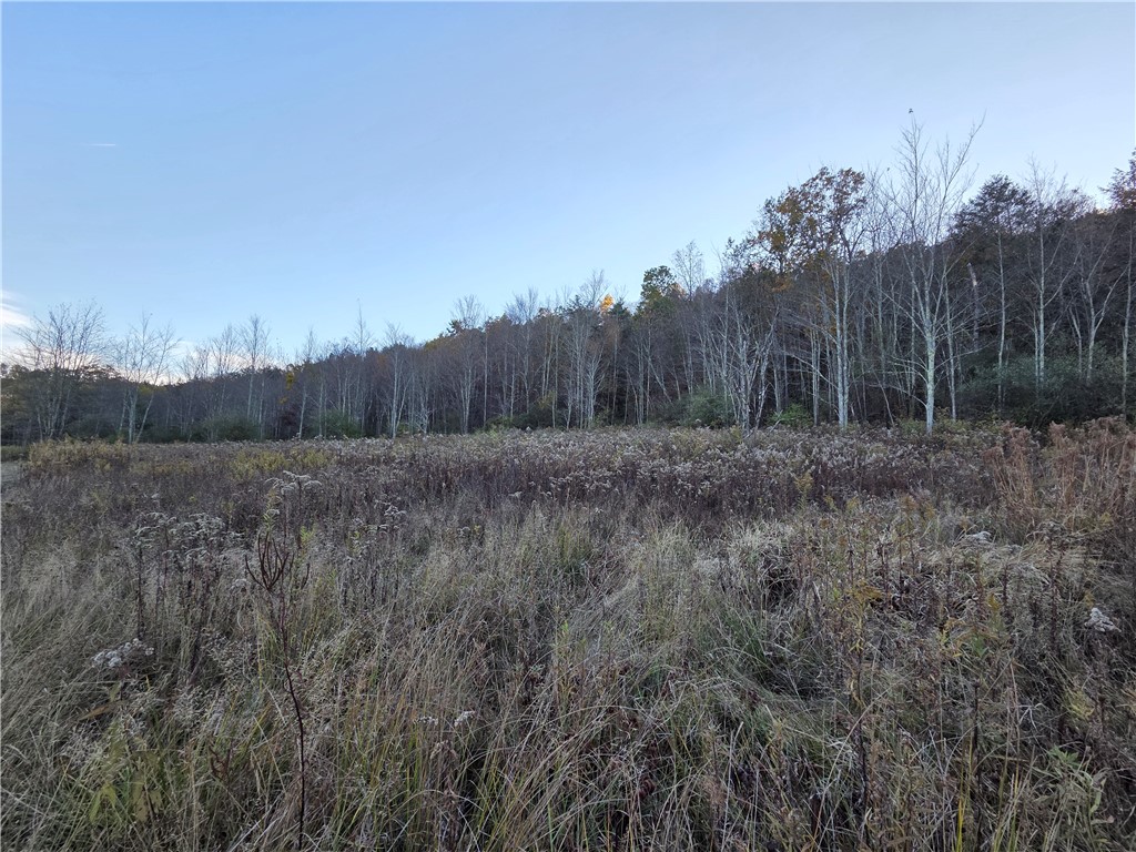 147 Clark Hollow Road Southport, NY 14871 - Photo 43 of 50