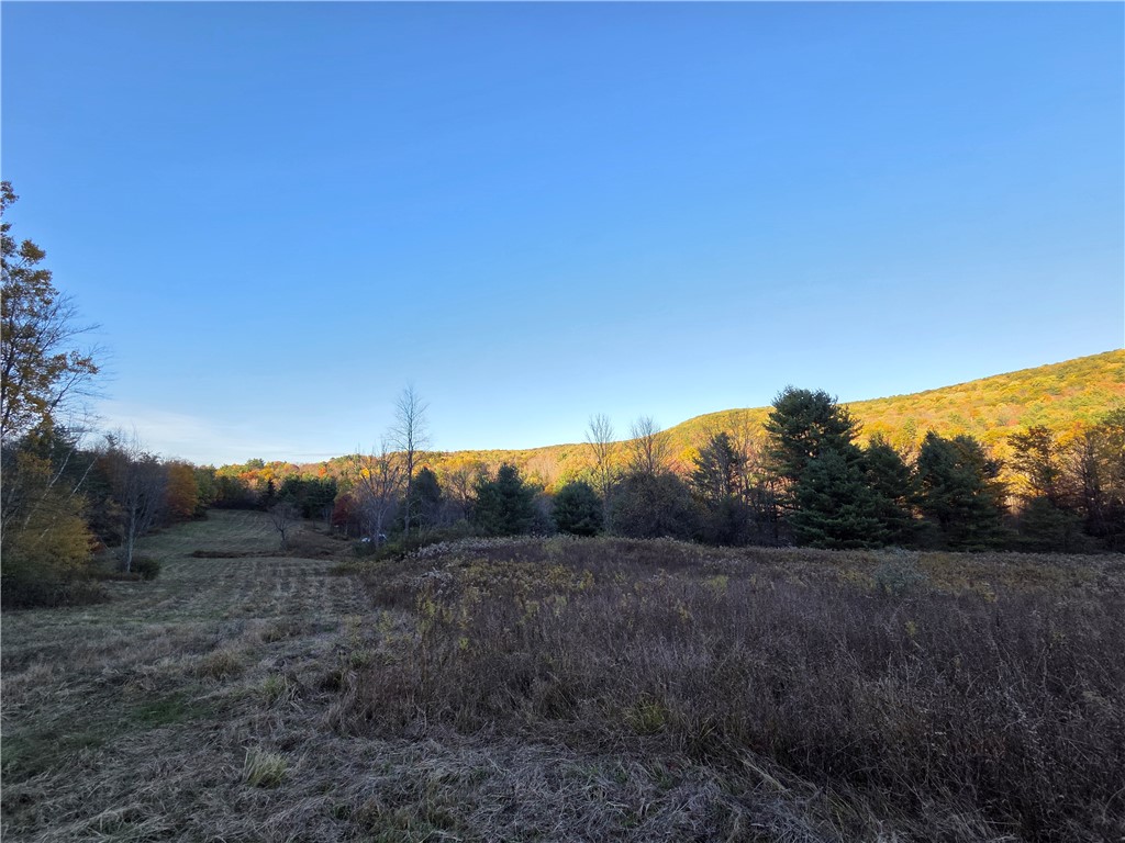 147 Clark Hollow Road Southport, NY 14871 - Photo 44 of 50