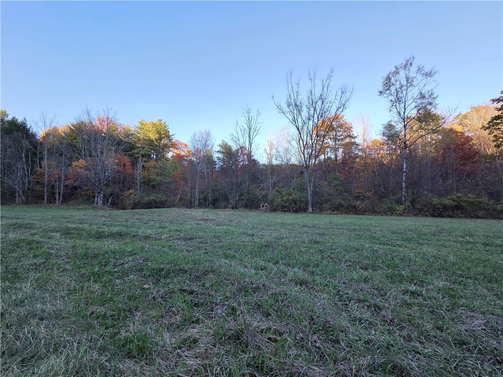 147 Clark Hollow Road Southport, NY 14871 - Photo 46 of 50