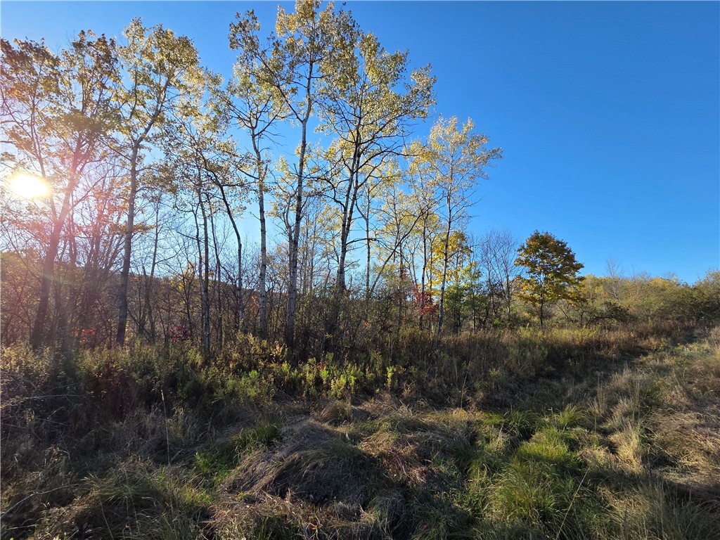 147 Clark Hollow Road Southport, NY 14871 - Photo 5 of 50