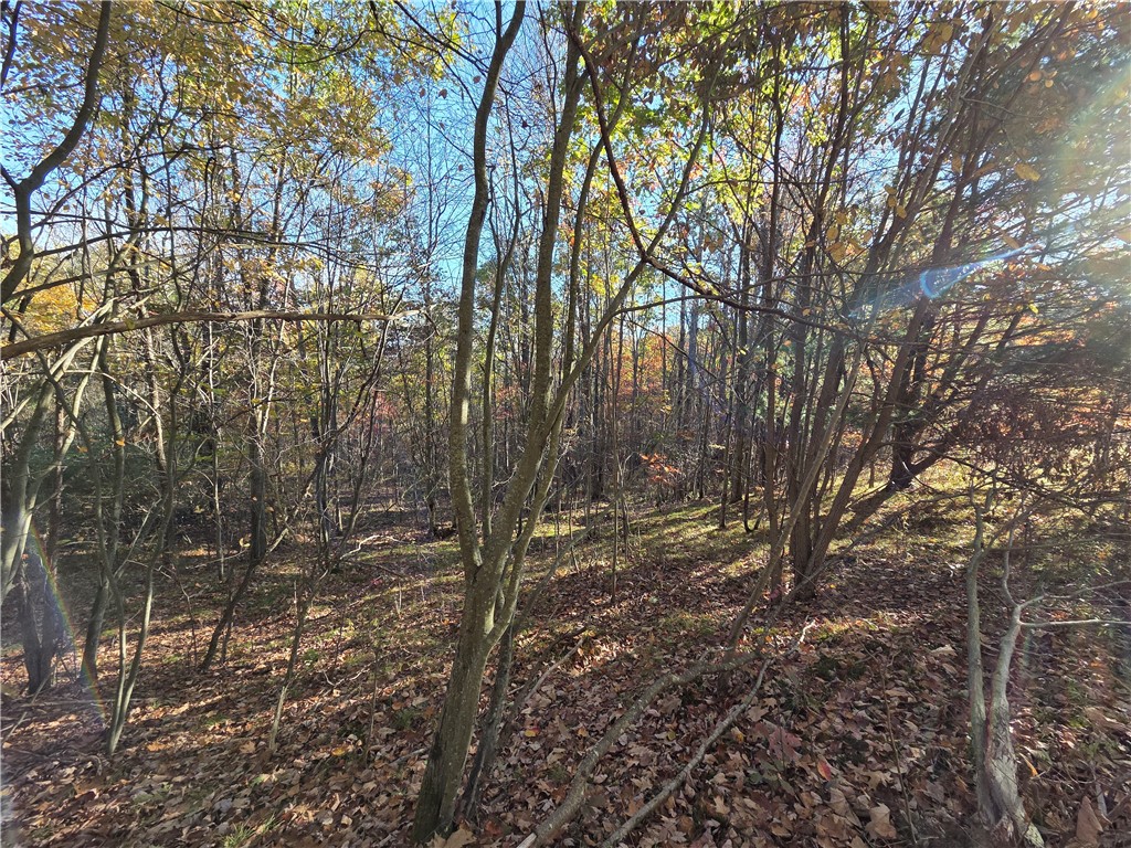 147 Clark Hollow Road Southport, NY 14871 - Photo 7 of 50