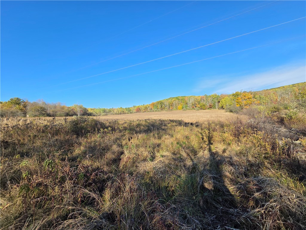 147 Clark Hollow Road Southport, NY 14871 - Photo 8 of 50