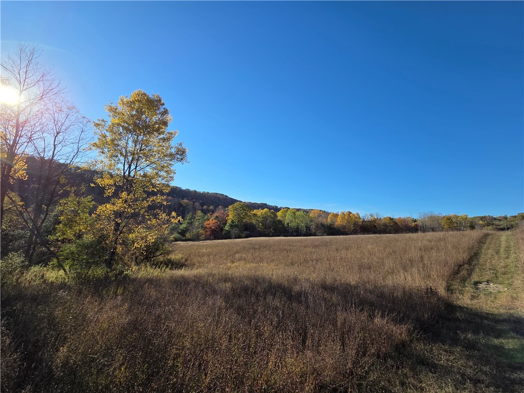 147 Clark Hollow Road Southport, NY 14871 - Photo 10 of 50