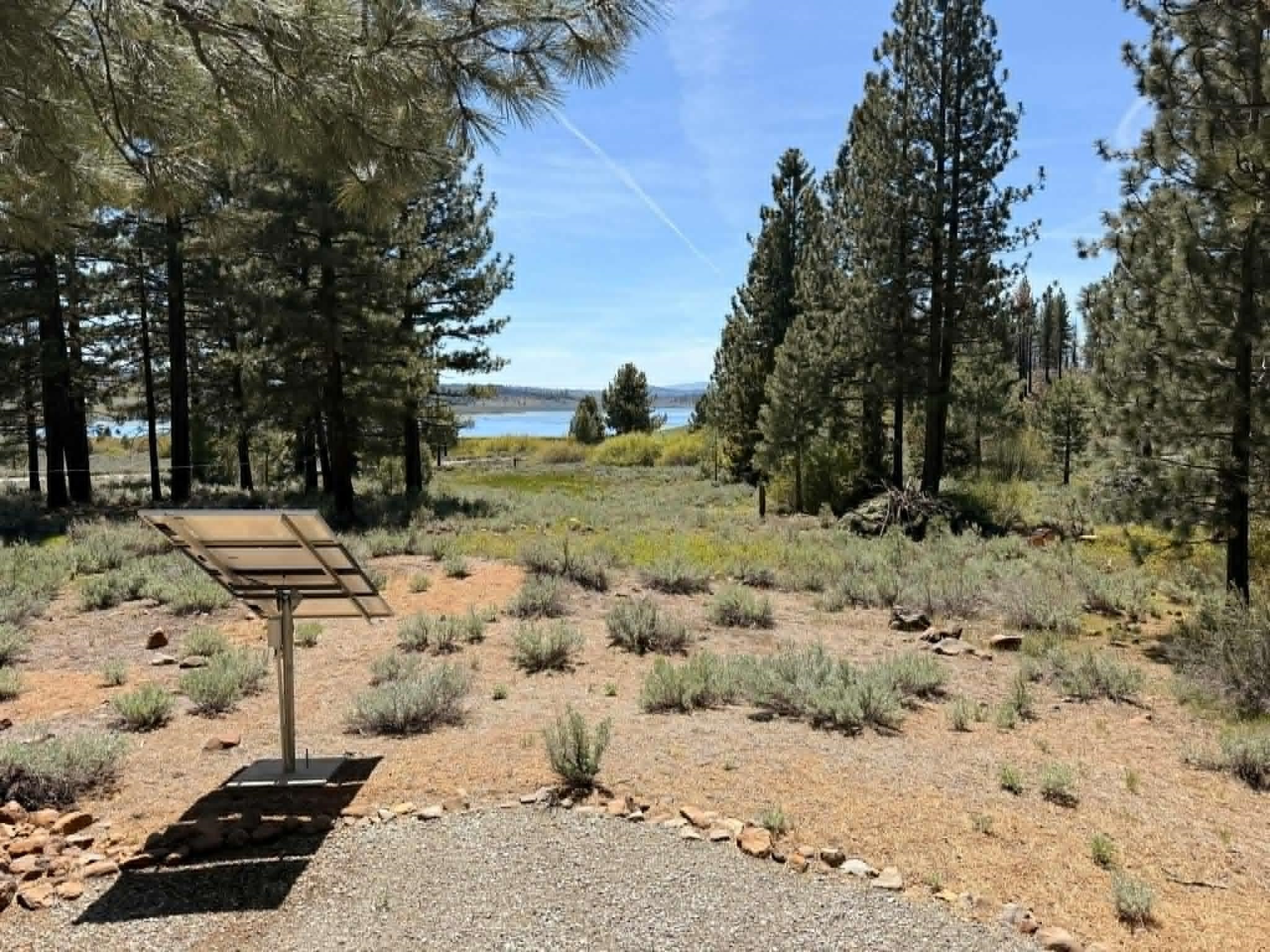 93 Juniper Road Beckwourth, CA 96129 - Photo 26 of 35 a view of a yard with trees