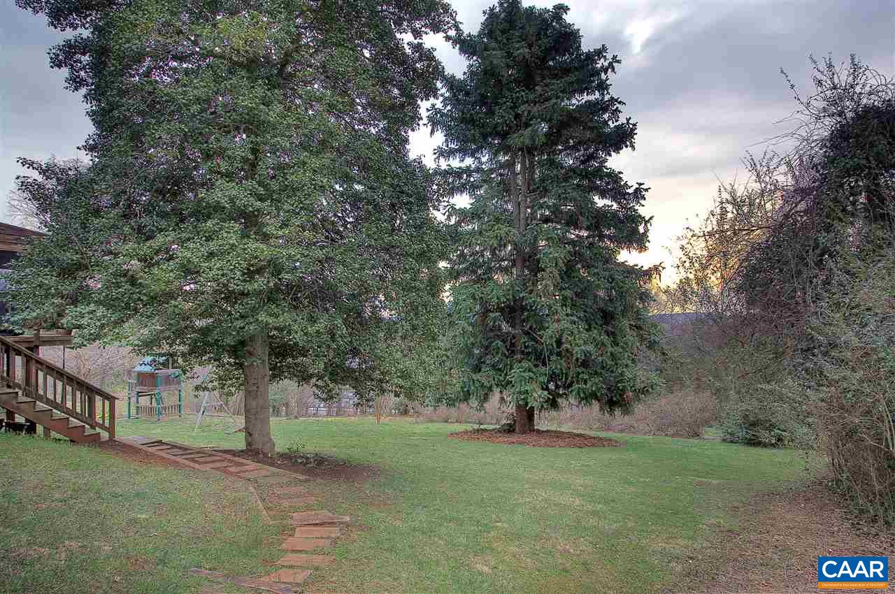 1532 Dairy Road Charlottesville, VA 22903 - Photo 37 of 42 A thick line of trees and shrubbery defines the borders of the lawn which is dotted with several beautiful, very mature trees of different varieties, a huge Chinese Fir, and holly among others.
