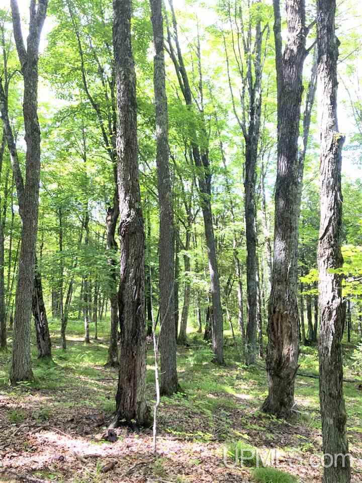 9 Road Trail Felch, MI 49831 - Photo 14 of 42