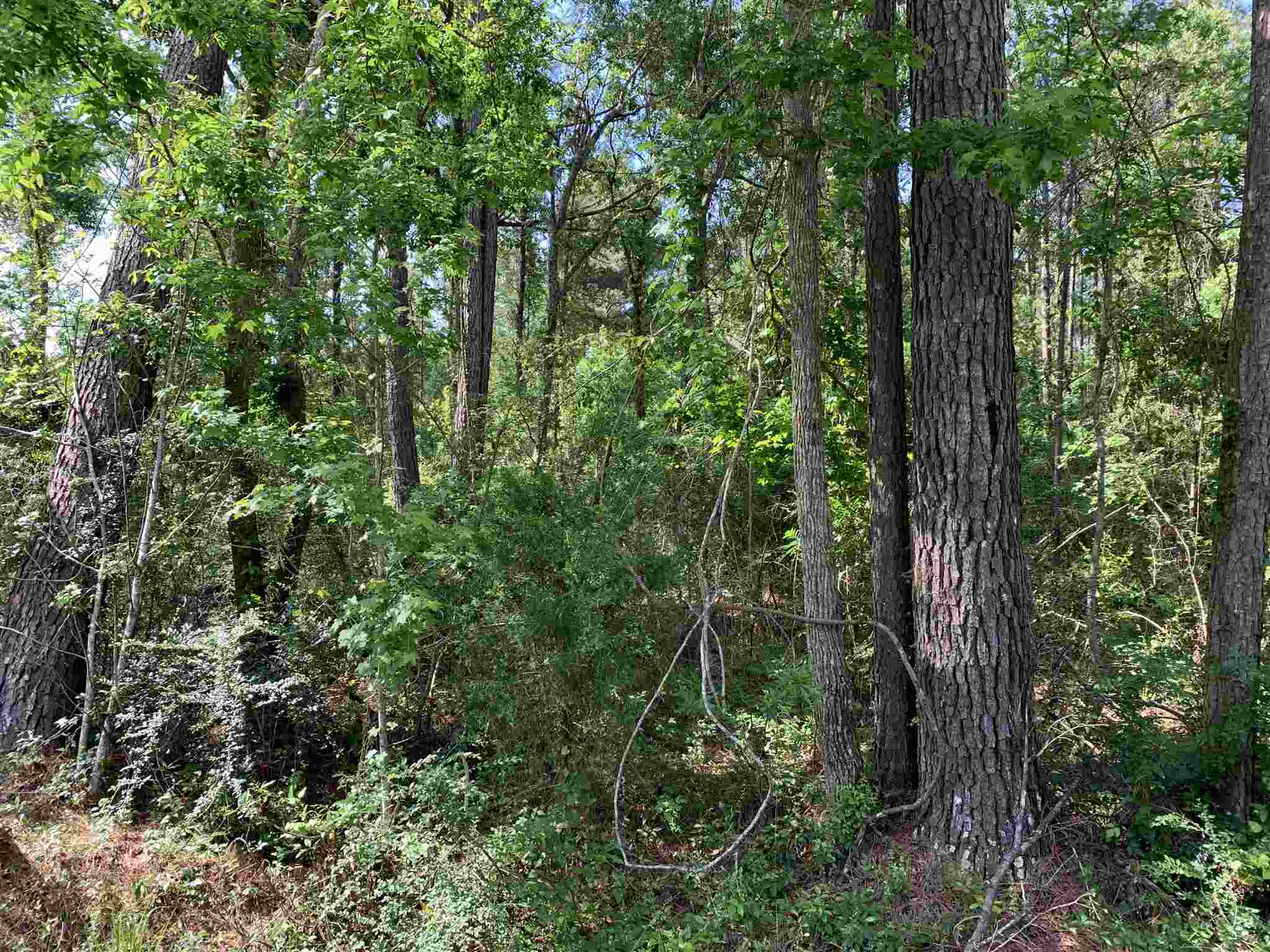15824 Pne Grv Rd Extension North Bay Minette, AL 36507 - Photo 3 of 4