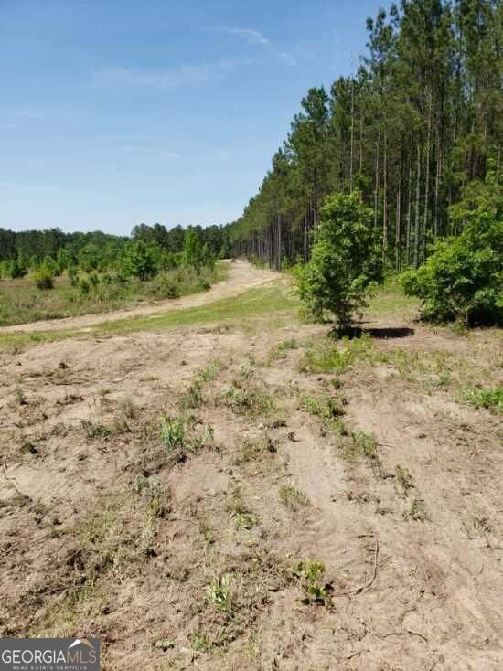 1731 Snellbridge Road Adrian, GA 31002 - Photo 1 of 1 Main View