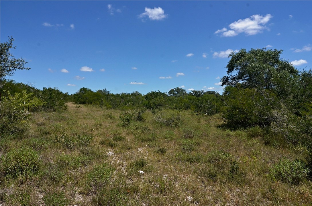 1641 Charco Road Beeville, TX 78102 - Photo 15 of 27