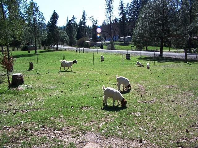 14005 Upper Applegate Road Jacksonville, OR 97530 - Photo 21 of 25 Additional Photo