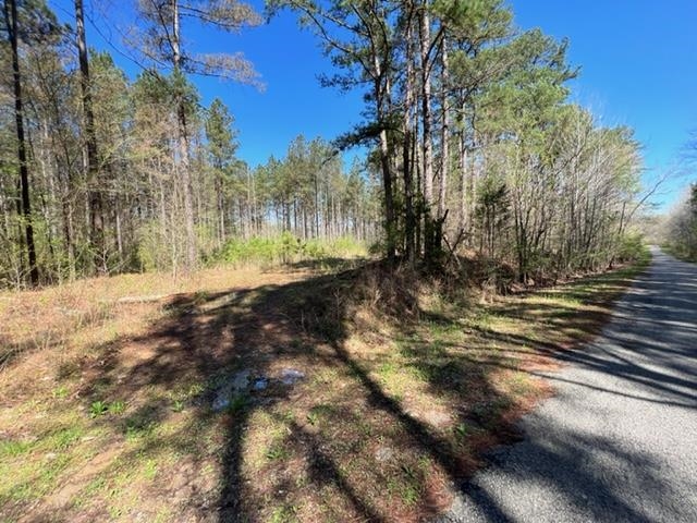 Tract 9 King Road Medon, TN 38356 - Photo 1 of 15 a view of dirt yard with a large tree