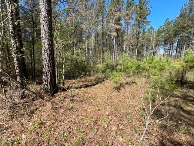 Tract 9 King Road Medon, TN 38356 - Photo 11 of 15 a view of a yard with plants and trees