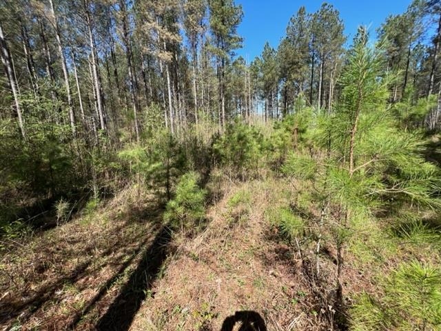 Tract 9 King Road Medon, TN 38356 - Photo 12 of 15 a view of a yard