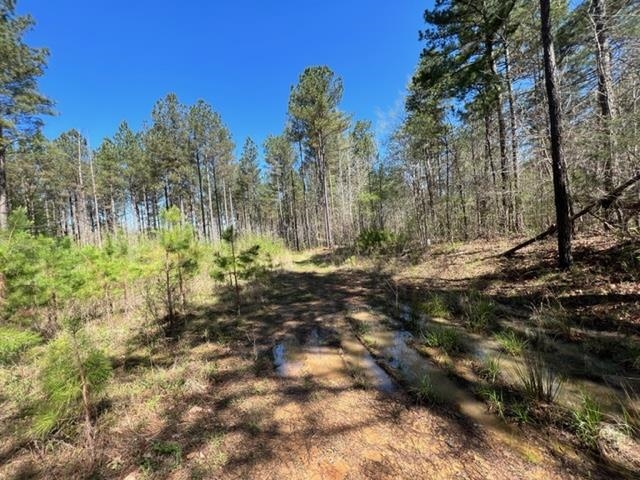Tract 9 King Road Medon, TN 38356 - Photo 14 of 15 a view of outdoor space with trees all around
