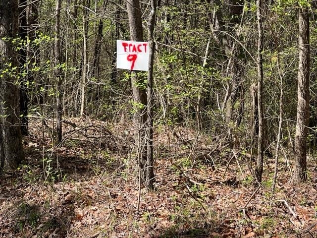Tract 9 King Road Medon, TN 38356 - Photo 3 of 15 a sign board with a shower