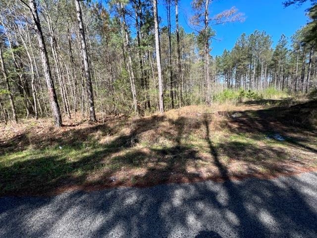 Tract 9 King Road Medon, TN 38356 - Photo 5 of 15 a view of a yard with a tree