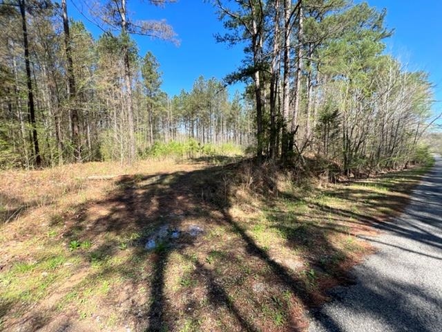 Tract 9 King Road Medon, TN 38356 - Photo 6 of 15 a view of a yard with plants and trees