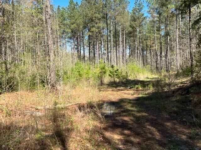 Tract 9 King Road Medon, TN 38356 - Photo 7 of 15 a view of backyard with green space