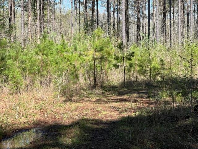 Tract 9 King Road Medon, TN 38356 - Photo 8 of 15 a view of backyard of house