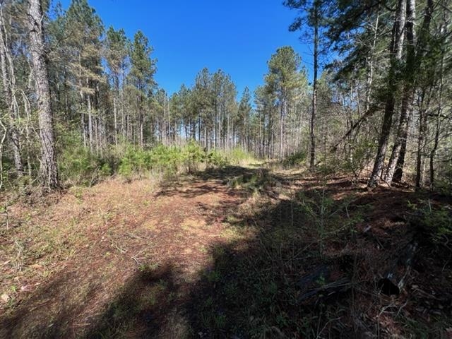 Tract 9 King Road Medon, TN 38356 - Photo 10 of 15 a view of outdoor space with trees