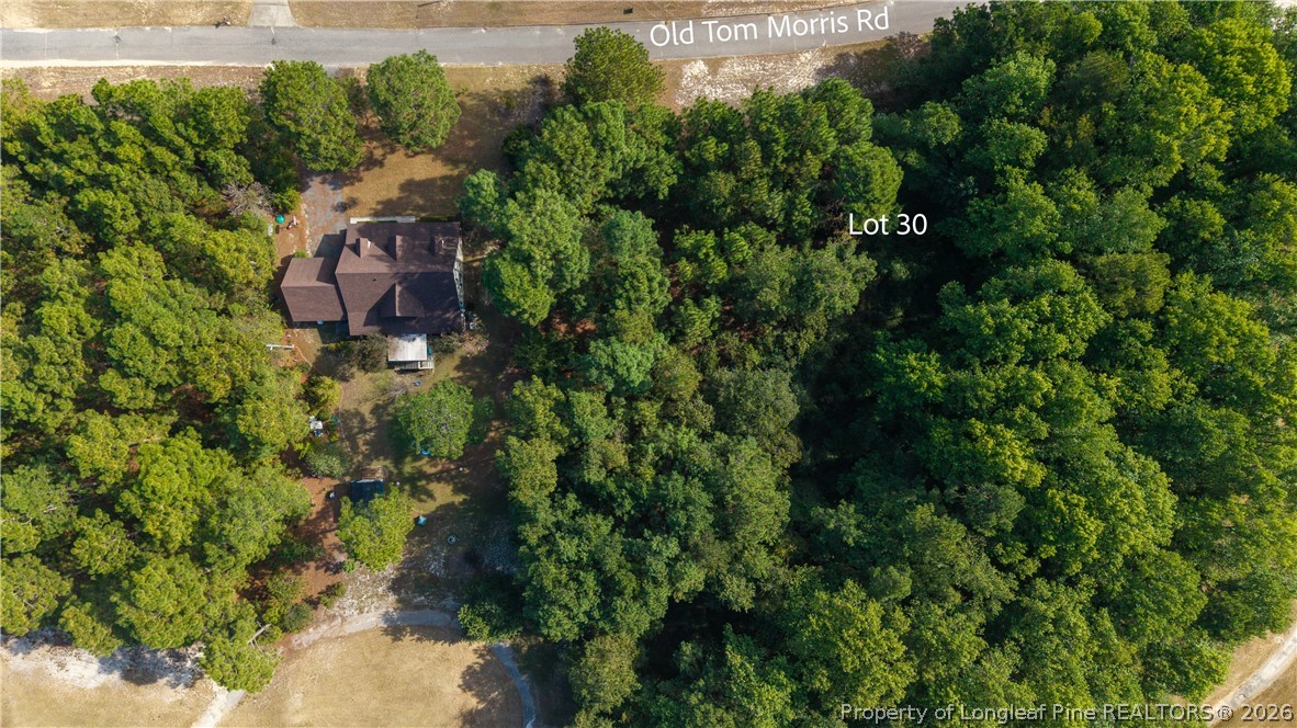 Old Tom Morris Road Garland, NC 28441 - Photo 3 of 4 an aerial view of a house with a yard