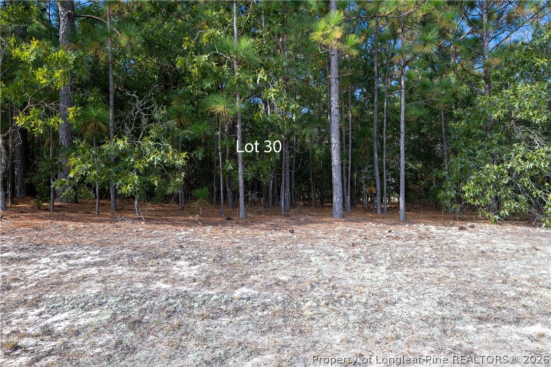 Old Tom Morris Road Garland, NC 28441 - Photo 4 of 4 a view of outdoor space with lots of trees
