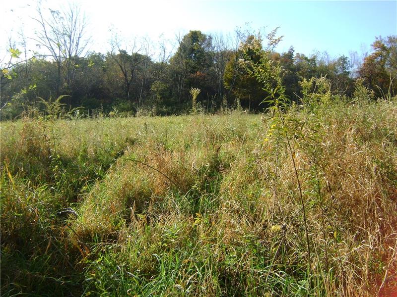 O Tower Road Jamestown, PA 16134 - Photo 6 of 9 Open Field, to the left of the Drive Way.