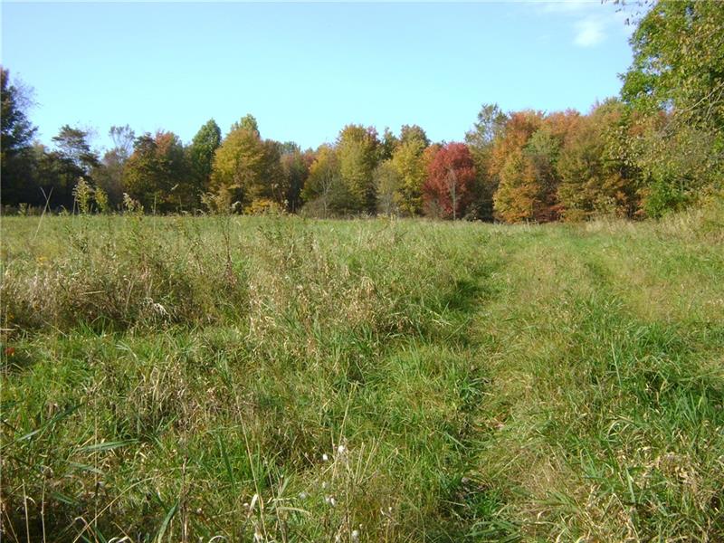 O Tower Road Jamestown, PA 16134 - Photo 8 of 9 Open Field, Straight back from the Drive Way.