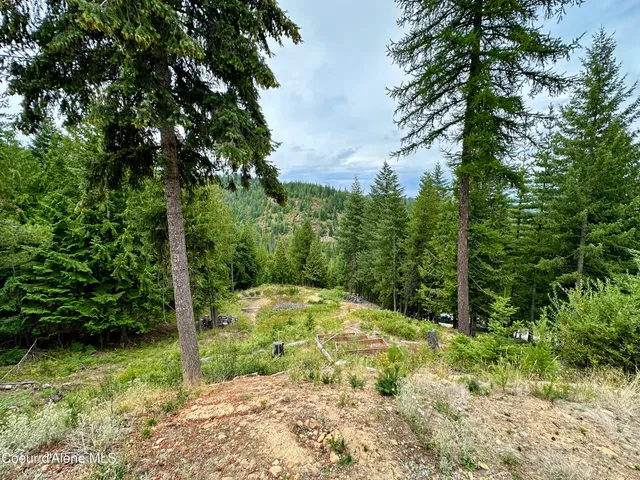 $140,000 | 625 East Fork French Gulch Road, Pinehurst, ID 83850