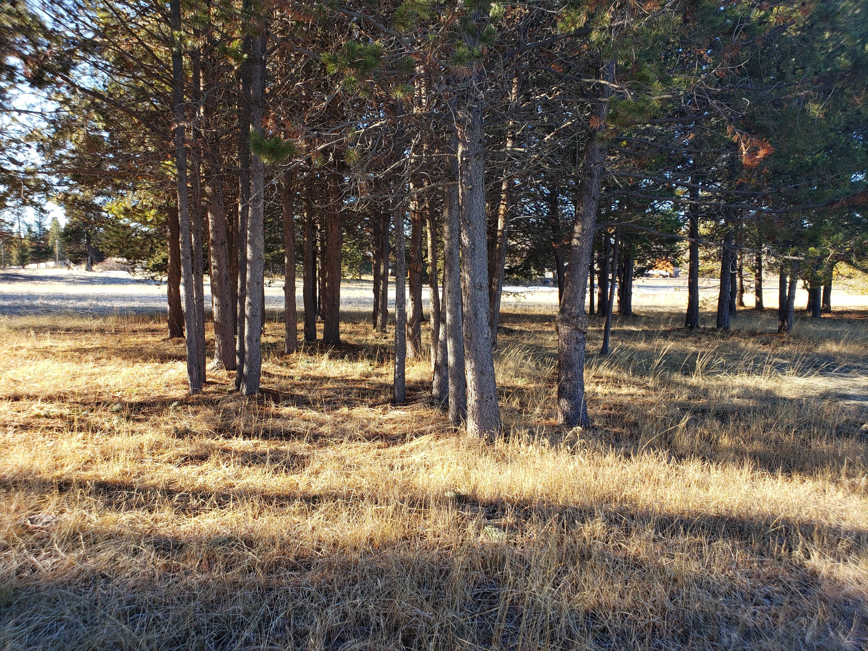 16685 Sprague Loop La Pine, OR 97739 - Photo 13 of 15 20210119_102102