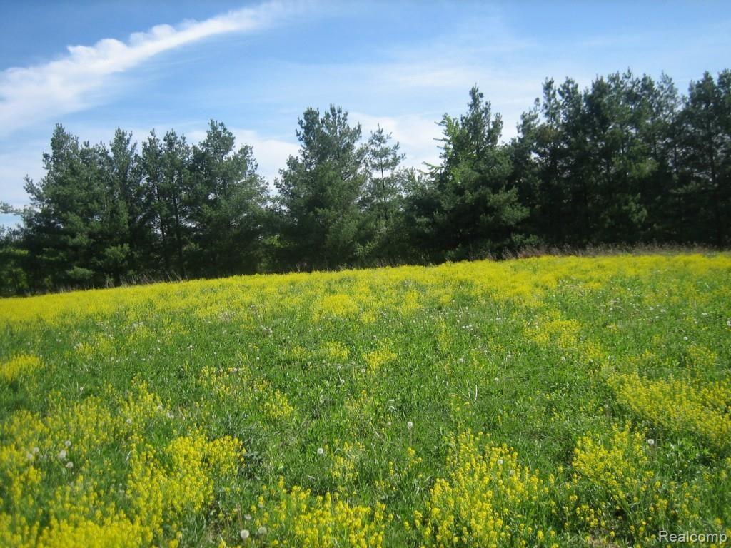 0 Lothrop Road Imlay City, MI 48444 - Photo 8 of 9