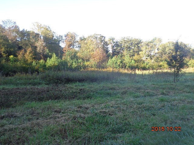 0 Hwy 81 N & Mcgee Road Anderson, SC 29621 - Photo 8 of 10