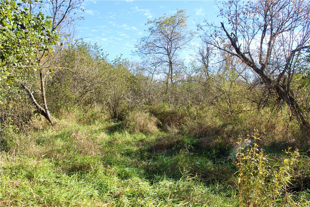 0 South Lowes Creek Road Eau Claire, WI 54701 - Photo 42 of 59