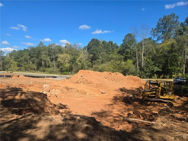 a view of a yard with a tree