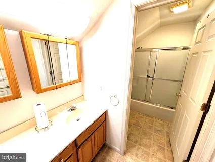 a bathroom with a sink a mirror and a shower