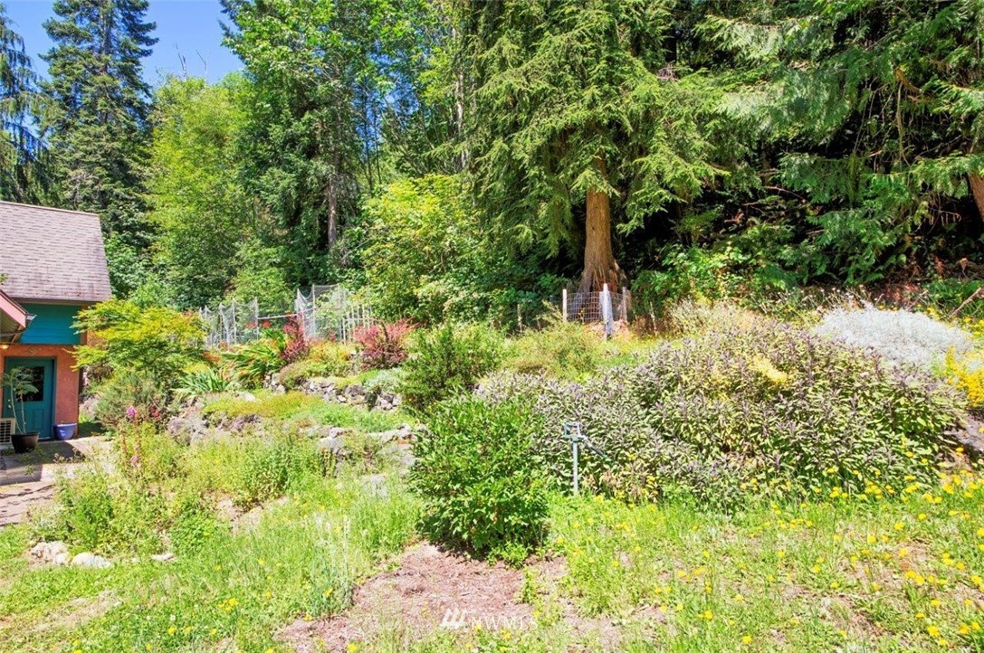 105 Naylor Creek Road Chimacum, WA 98325 - Photo 22 of 24 a view of a garden with plants