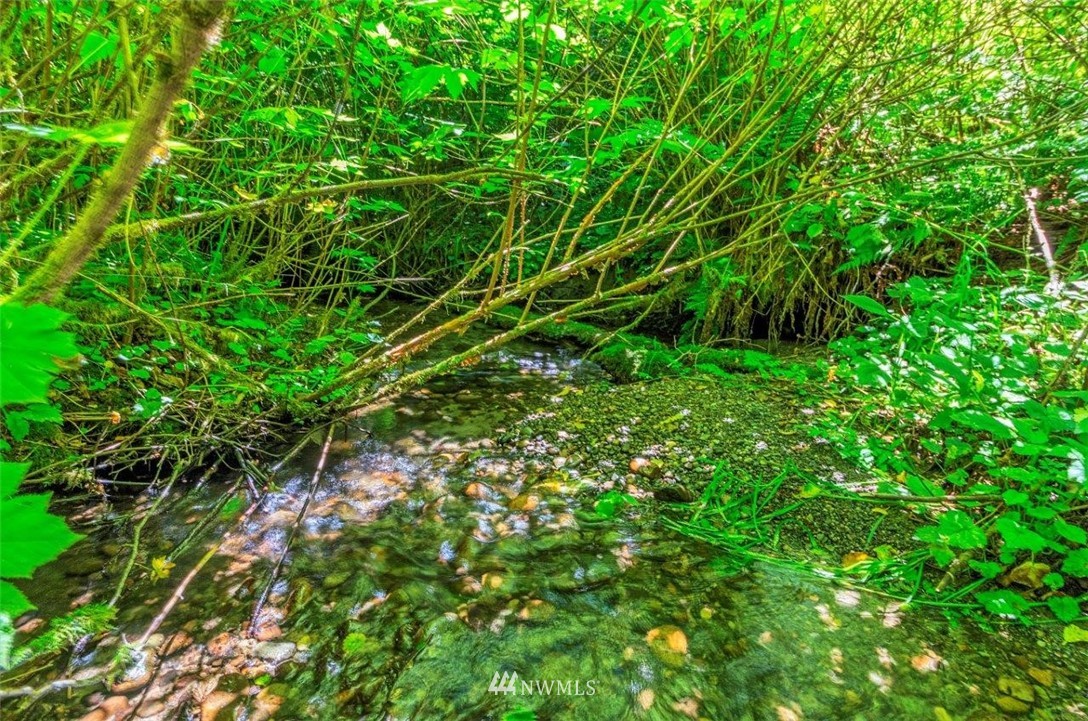 105 Naylor Creek Road Chimacum, WA 98325 - Photo 24 of 24 a view of a lush green space