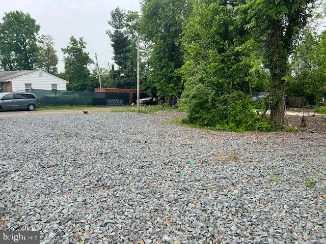 a view of a backyard with large trees
