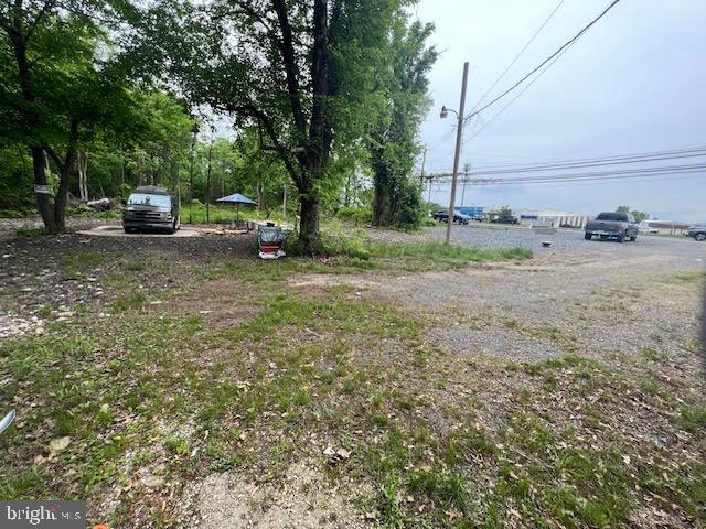 45909 Old Ox Road Sterling, VA 20166 - Photo 7 of 10 a view of yard with tree