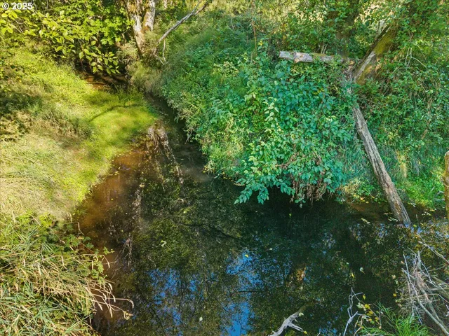 a view of a plant in a garden