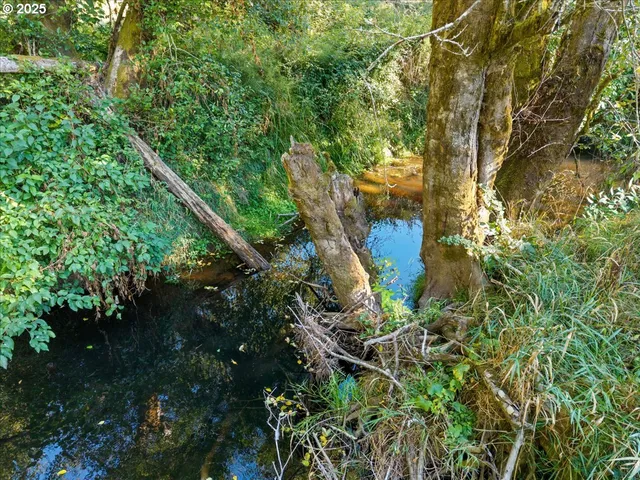 a view of a big yard with an outdoor space