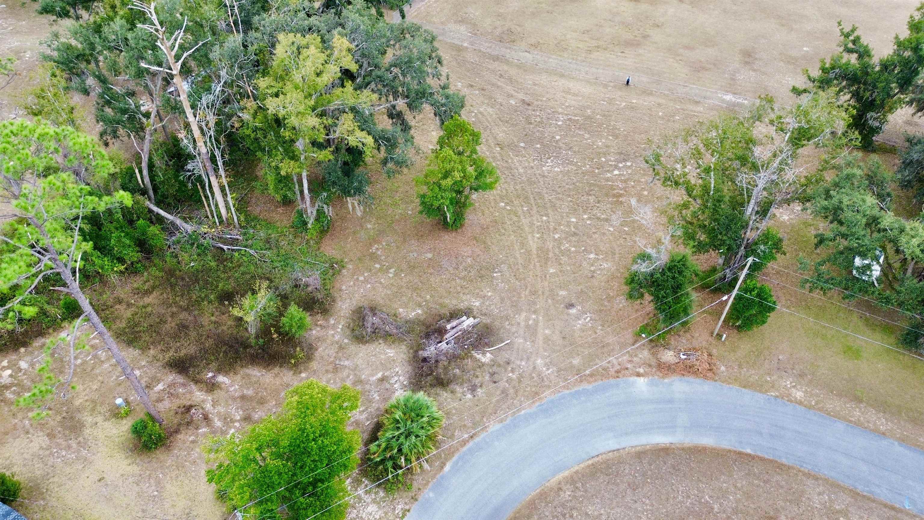 Vacant Forest Circle Perry, FL 32347 - Photo 14 of 20