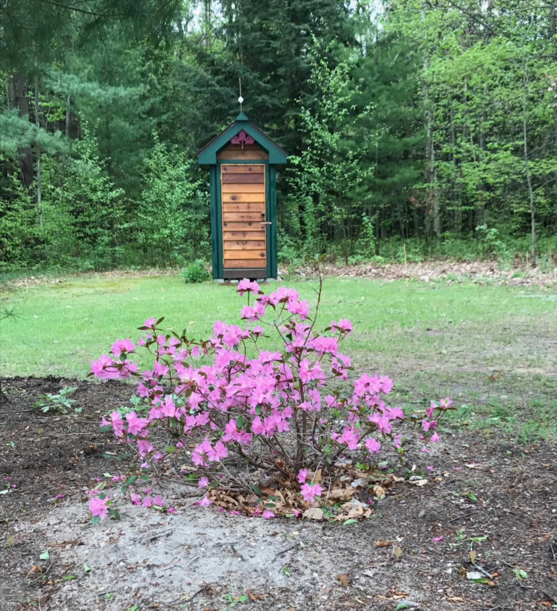 17499 Bigge Road Kaleva, MI 49645 - Photo 40 of 50 FullSizeRender.jpg