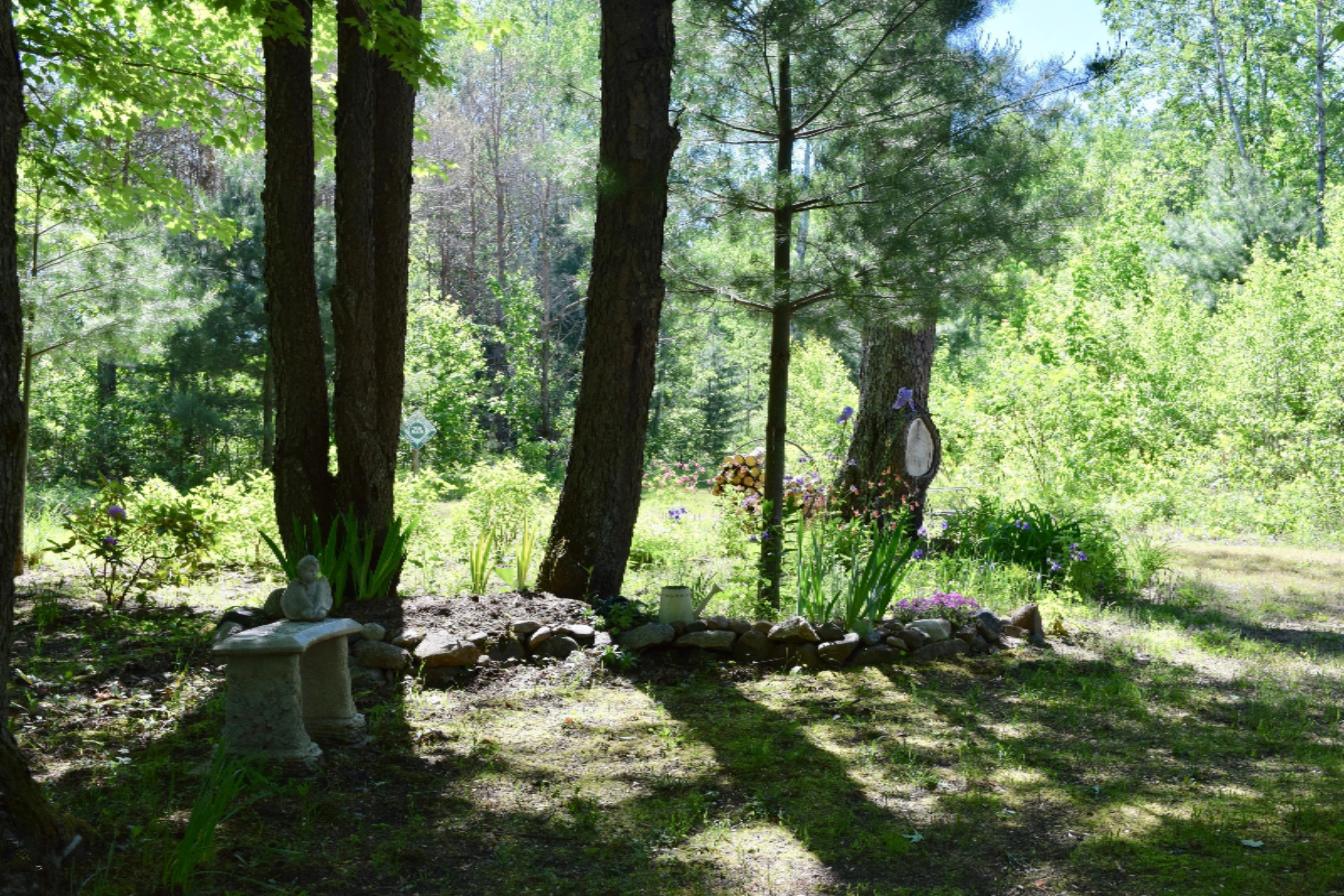17499 Bigge Road Kaleva, MI 49645 - Photo 49 of 50 DSC_0926