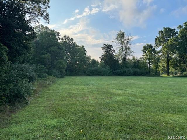 0 Teggerdine Road White Lake, MI 48386 - Photo 1 of 7