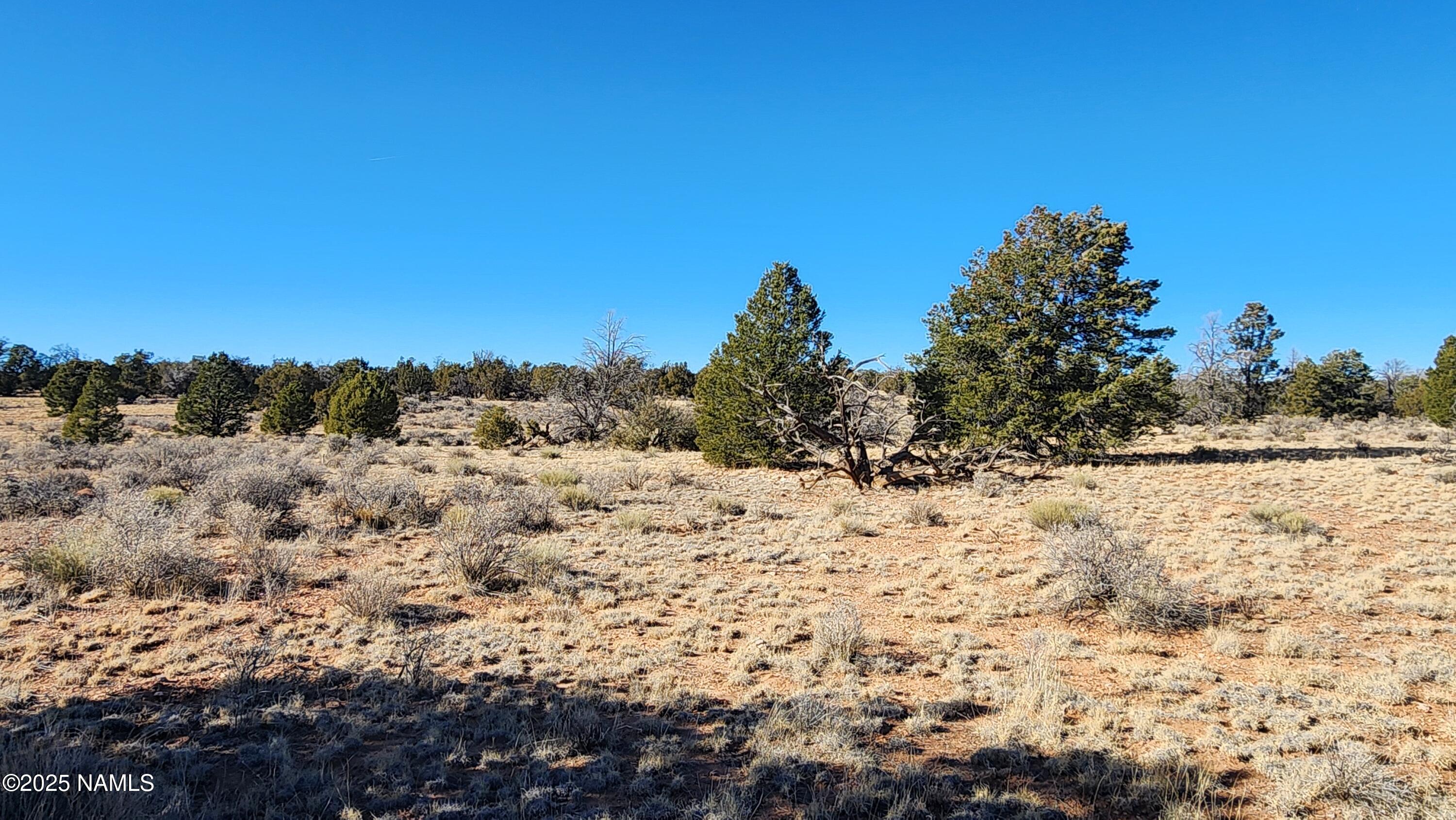 5373 Red Butte Road Williams, AZ 86046 - Photo 13 of 33 1000024079