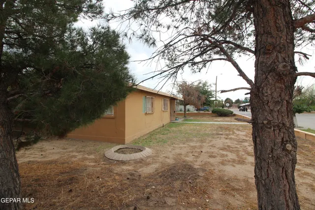 a view of a house with backyard and a tree
