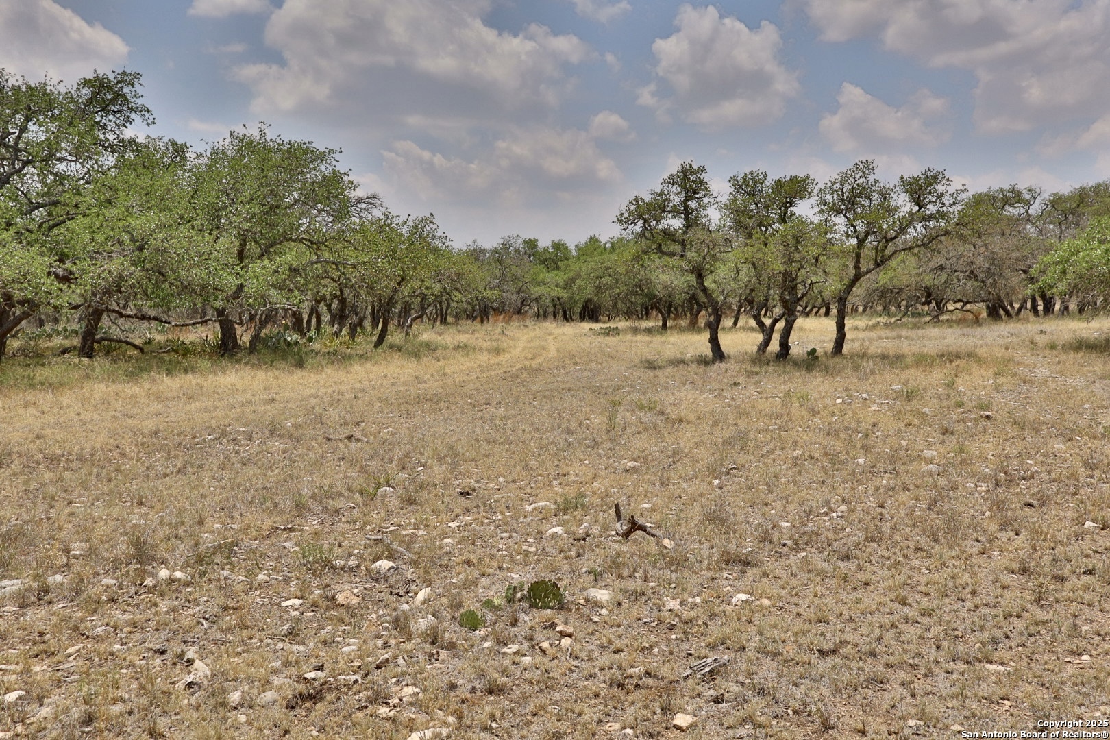 25 Dallas Josie Road Harper, TX 78631 - Photo 7 of 16 Gallery Image 7