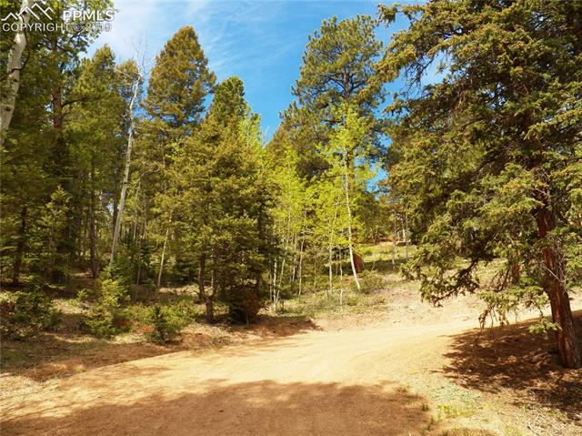 49 Anderson Road Florissant, CO 80816 - Photo 9 of 30 Gallery Image 9